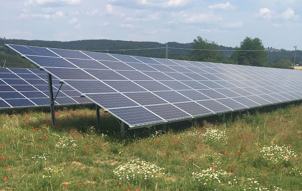 Photovoltaik-Freiflächenanlage auf einer Blumenwiese