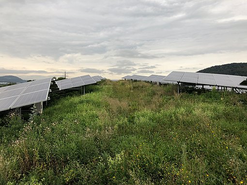 Seitansicht des Solarparks in Herten