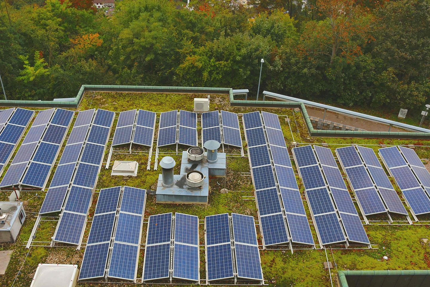 Ein Hausdach mit Photovoltaik und Dachbegrünung in Kombination