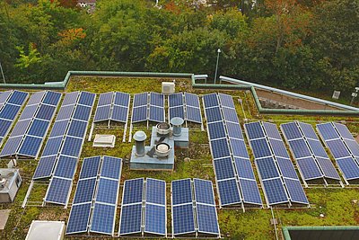 Photovoltaik-Gründächer sorgen für mehr Klimaschutz auf Dächern. Foto: AdobeStock